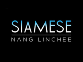 ไซมิสนางลิ้นจี่ (Siamese Nang Linchee) คอนโดกลางเมืองล่าสุดจากไซมิส แอสเสท