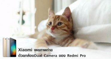 Xiaomi เผยภาพถ่ายด้วยกล้อง Dual Camera ของ Redmi Pro