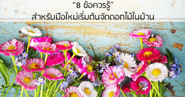 8 ข้อควรรู้ สำหรับมือใหม่เริ่มต้นจัดดอกไม้ในบ้าน