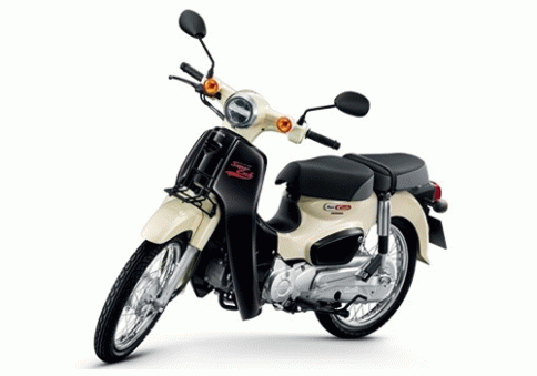 ฮอนด้า Honda Super Cub 2020 ปี 2020