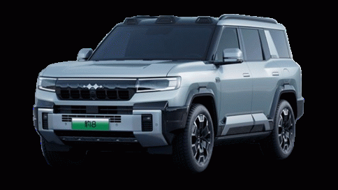 เดนซ่า Denza Formula BAO 8 Standard ปี 2025