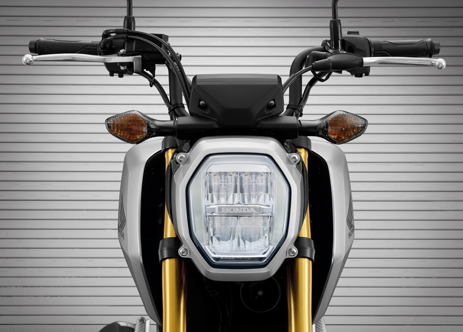 Honda MSX125 GROM (STD) ฮอนด้า เอ็มเอสเอ็กซ์125 ปี 2020 : ภาพที่ 1