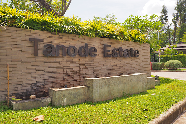 โตนด เอสเตท (Tanode Estate) : ภาพที่ 6