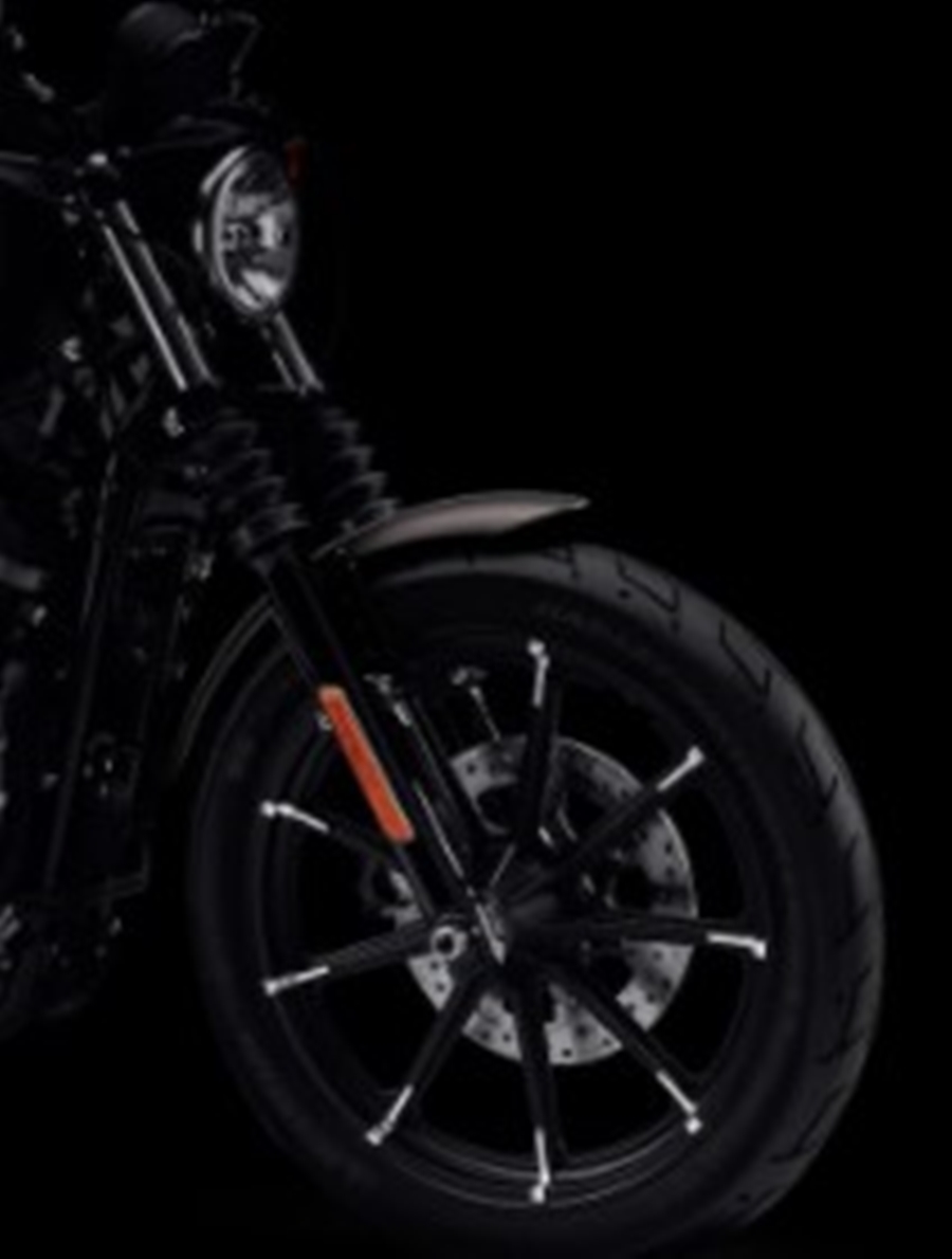 Harley-Davidson Sportster Iron 883 ฮาร์ลีย์-เดวิดสัน สปอร์ตสเตอร์ ปี 2022 : ภาพที่ 6