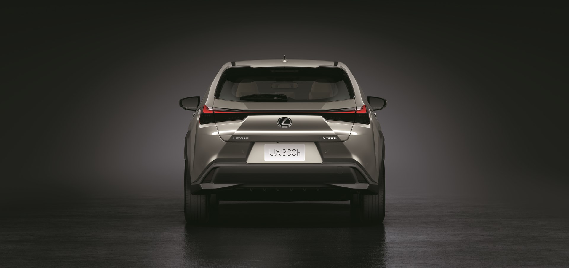 Lexus UX 300h F Sport เลกซัส ปี 2024 : ภาพที่ 2