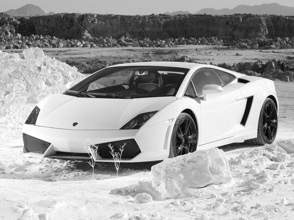 Lamborghini Gallardo LP560-4 ลัมโบร์กินี กัลลาร์โด้ ปี 2009 : ภาพที่ 6
