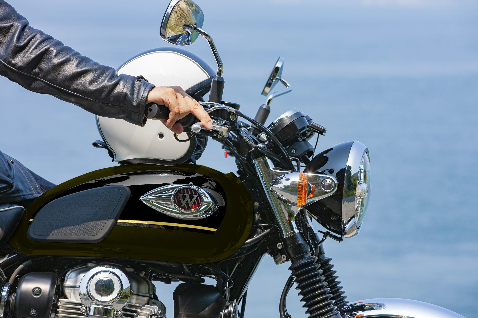 Kawasaki W 800 คาวาซากิ ดับบลิว ปี 2025 : ภาพที่ 3