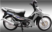 Zongshen Ryuka Future Standard จงเซิน ริวก้า ฟิวเจอร์ ปี 2011 : ภาพที่ 2