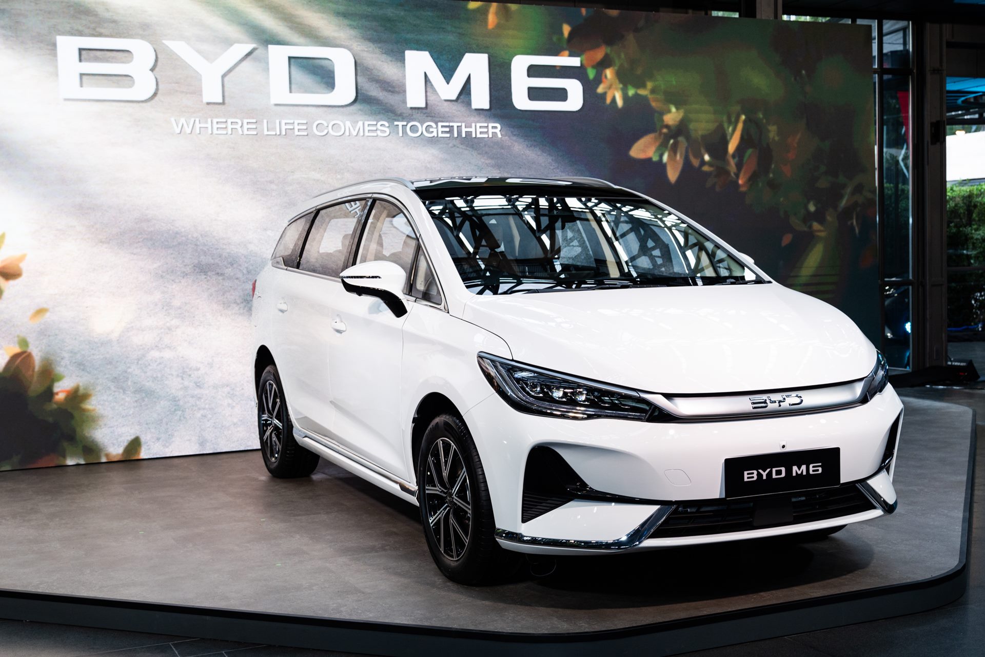 BYD M6 Dynamic บีวายดี ปี 2024 : ภาพที่ 1