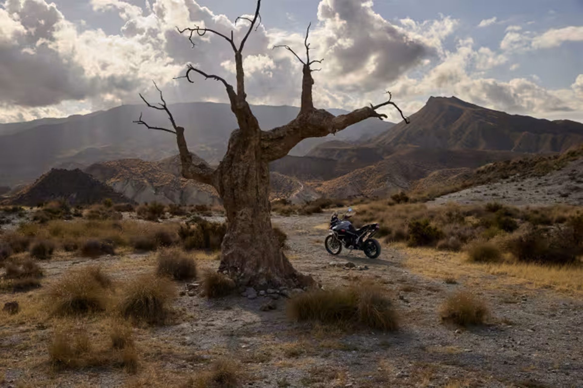 Triumph Tiger 900 Desert Edition ไทรอัมพ์ ปี 2025 : ภาพที่ 5