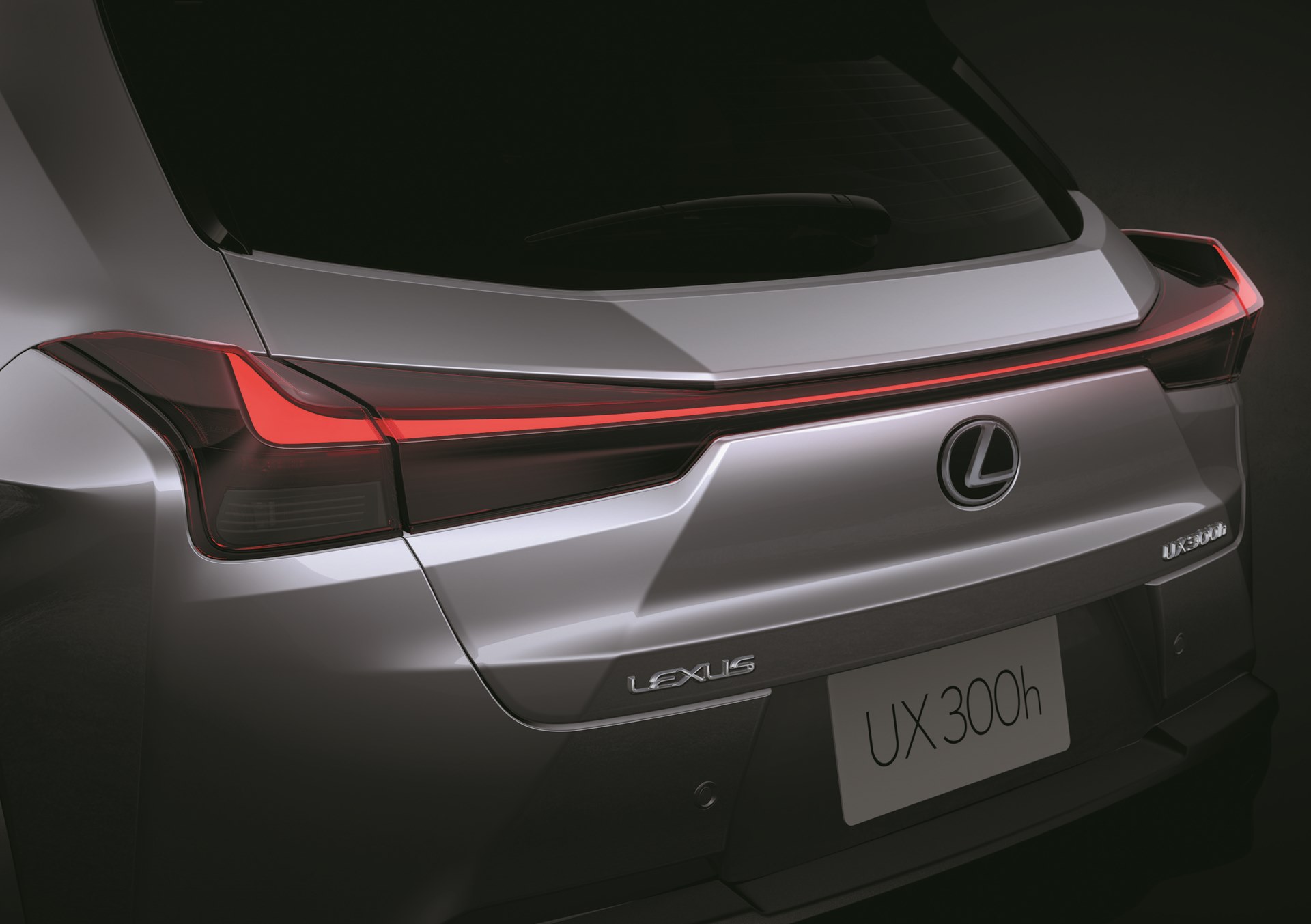 Lexus UX 300h F Sport เลกซัส ปี 2024 : ภาพที่ 4