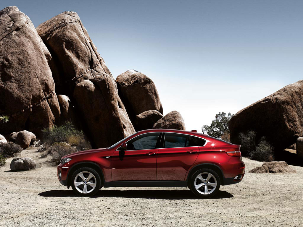 BMW X6 xDrive30d บีเอ็มดับเบิลยู เอ็กซ์6 ปี 2010 : ภาพที่ 5