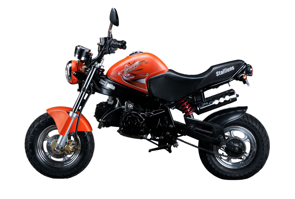 Stallions Mini SOLO สตาเลียน มินิโซโล่ ปี 2012 : ภาพที่ 2