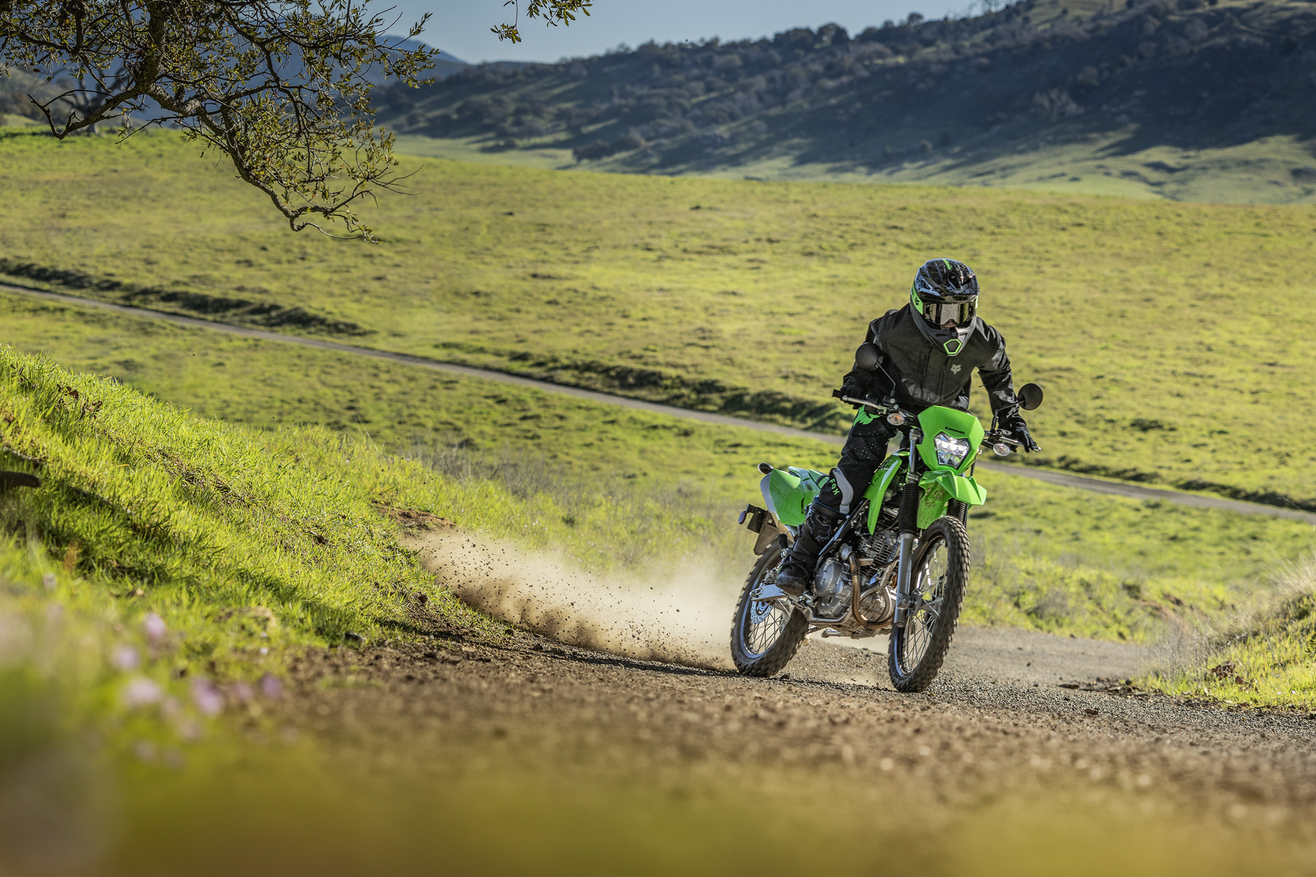 Kawasaki KLX 230 ABS คาวาซากิ ปี 2025 : ภาพที่ 10