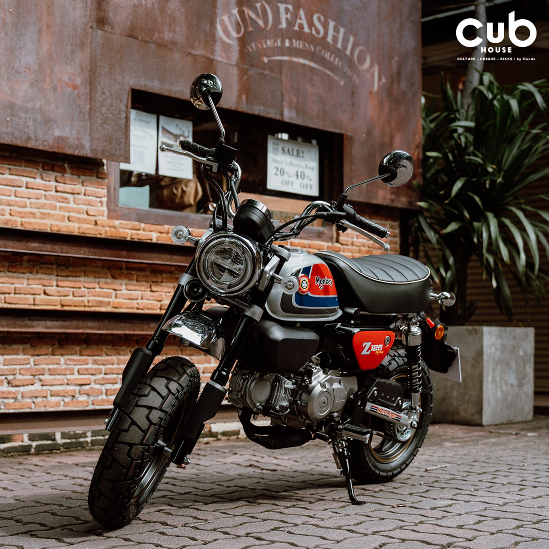 Honda Monkey Retro Apes Custom Edition ฮอนด้า ปี 2024 : ภาพที่ 2