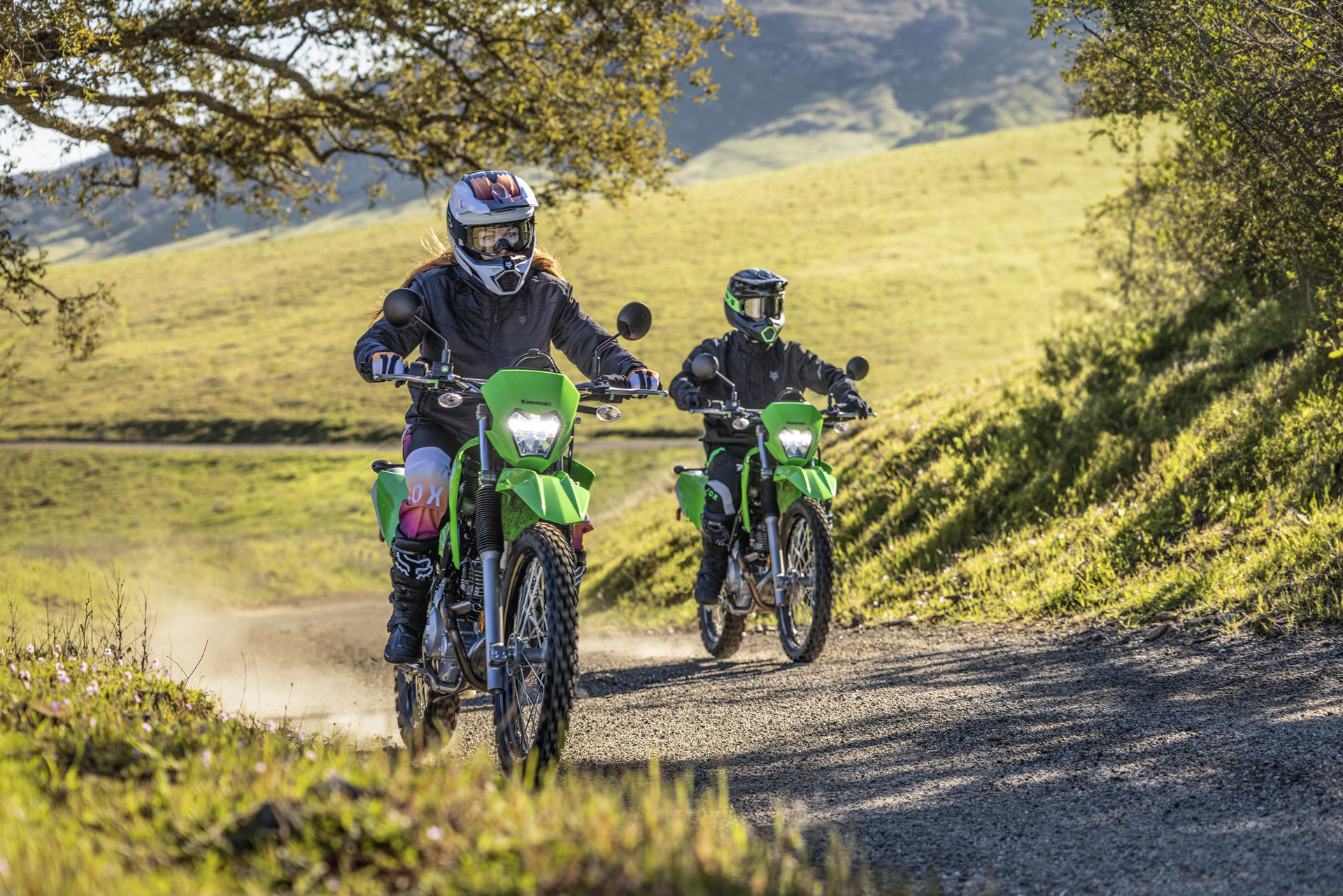 Kawasaki KLX 230 ABS คาวาซากิ ปี 2025 : ภาพที่ 9