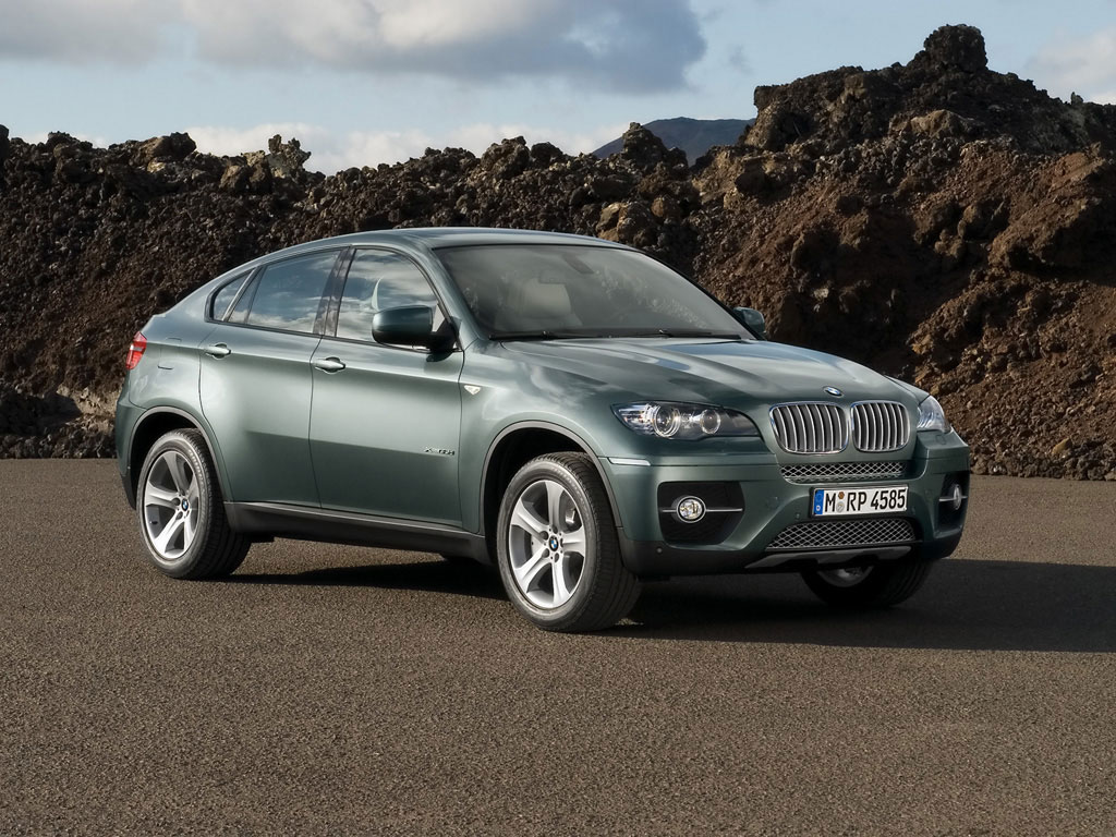 BMW X6 xDrive30d บีเอ็มดับเบิลยู เอ็กซ์6 ปี 2010 : ภาพที่ 6