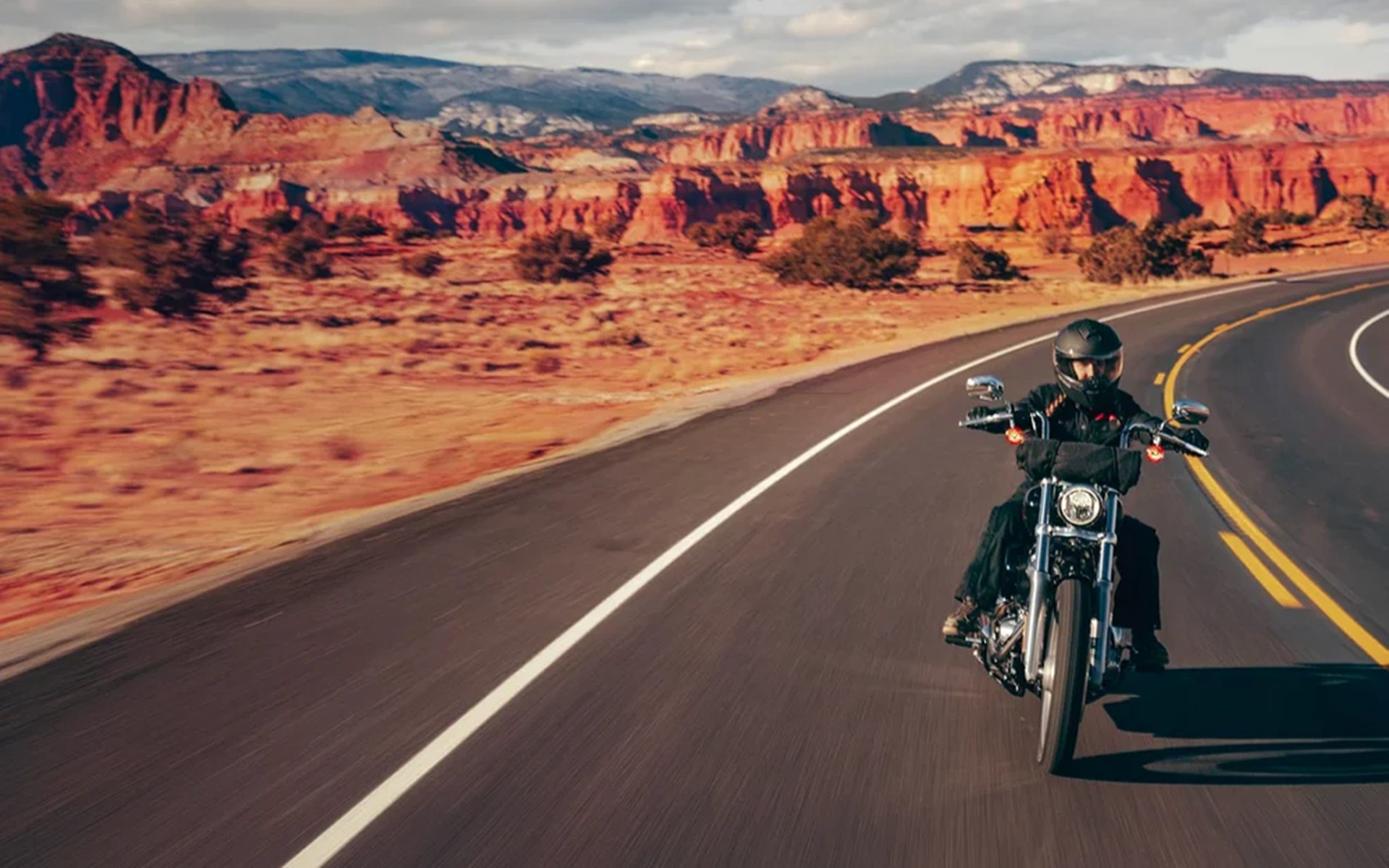 Harley-Davidson Softail Standard ฮาร์ลีย์-เดวิดสัน ซอฟเทล ปี 2024 : ภาพที่ 5