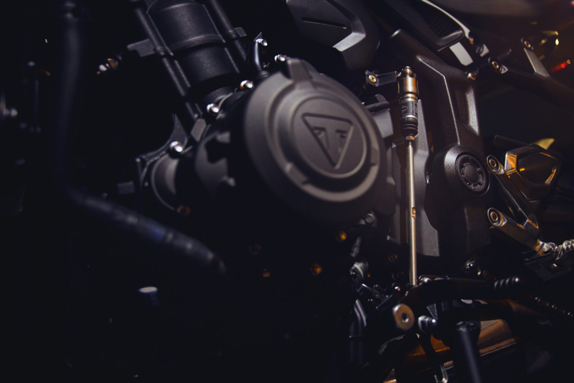 Triumph Trident 660 ไทรอัมพ์ ปี 2025 : ภาพที่ 7