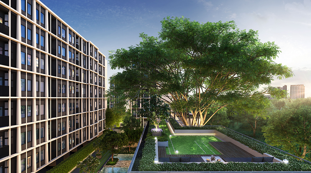 นิว เรน แจ้งวัฒนะ (NUE REN Chaengwattana) : ภาพที่ 2