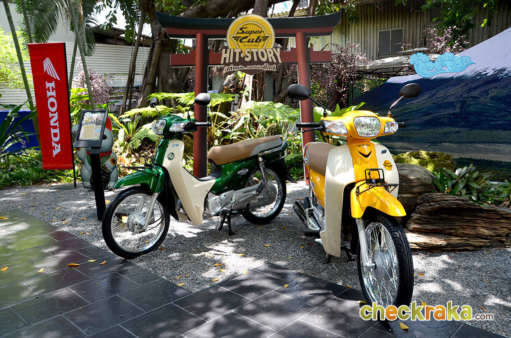 Honda Super Cub 2014 ฮอนด้า ซูเปอร์คับ ปี 2014 : ภาพที่ 6