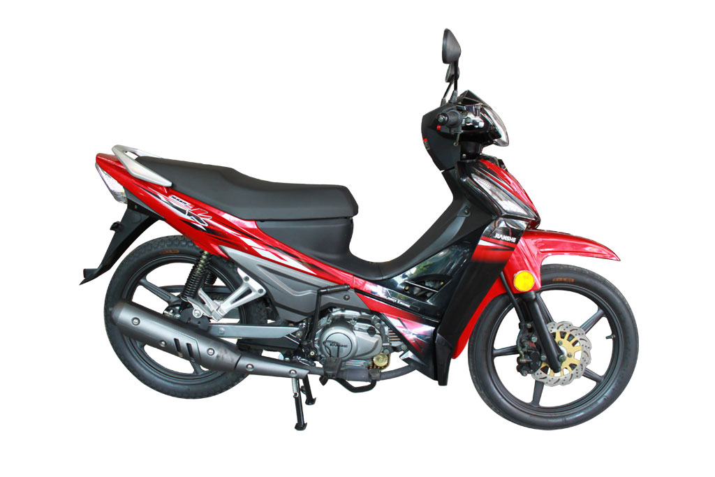 Stallions Buddy 125 Max สตาเลียน ปี 2009 : ภาพที่ 4