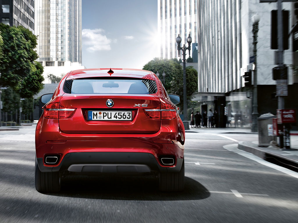 BMW X6 xDrive30d บีเอ็มดับเบิลยู เอ็กซ์6 ปี 2010 : ภาพที่ 3
