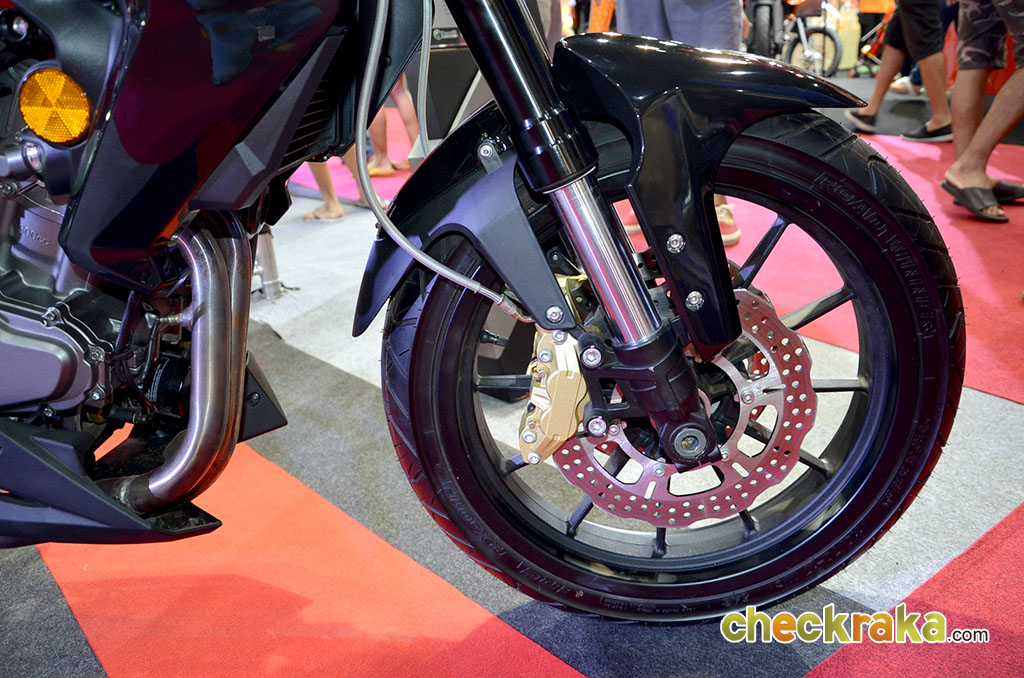 Benelli TNT 300 เบเนลลี ทีเอ็นที ปี 2013 : ภาพที่ 10