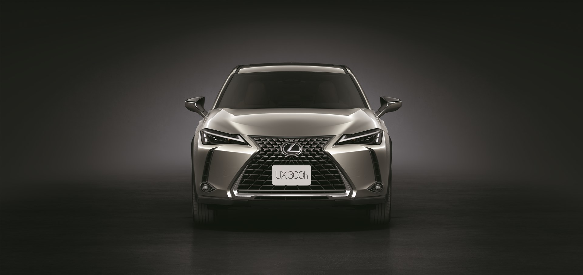 Lexus UX 300h ปี 2024 ราคา-สเปค-โปรโมชั่น