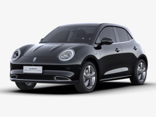 รถยนต์จีดับบลิวเอ็ม โอร่า GWM ORA Good Cat Logo